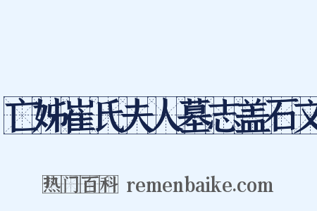亡姊崔氏夫人墓志盖石文是什么意思的图片